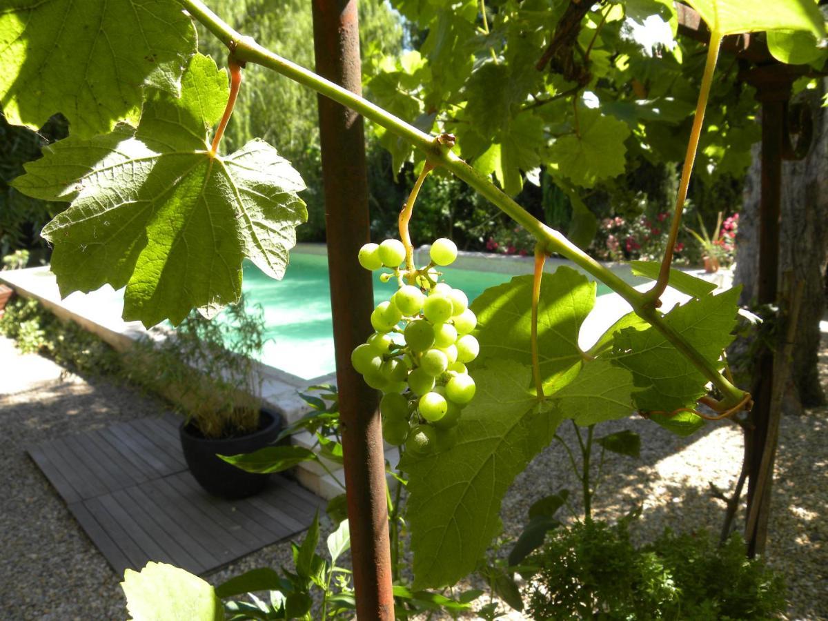 Maison Piloni L'Isle-sur-la-Sorgue Luaran gambar
